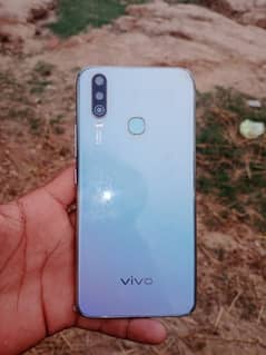 vivo