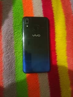 Vivo