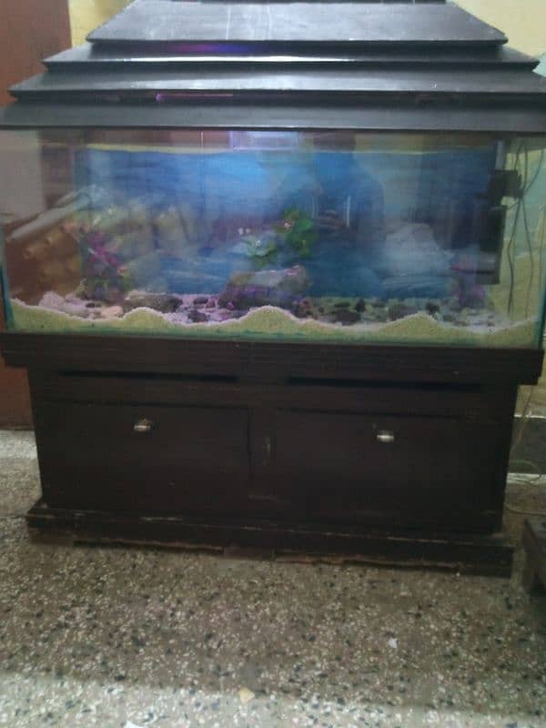 aquarium for sale 0