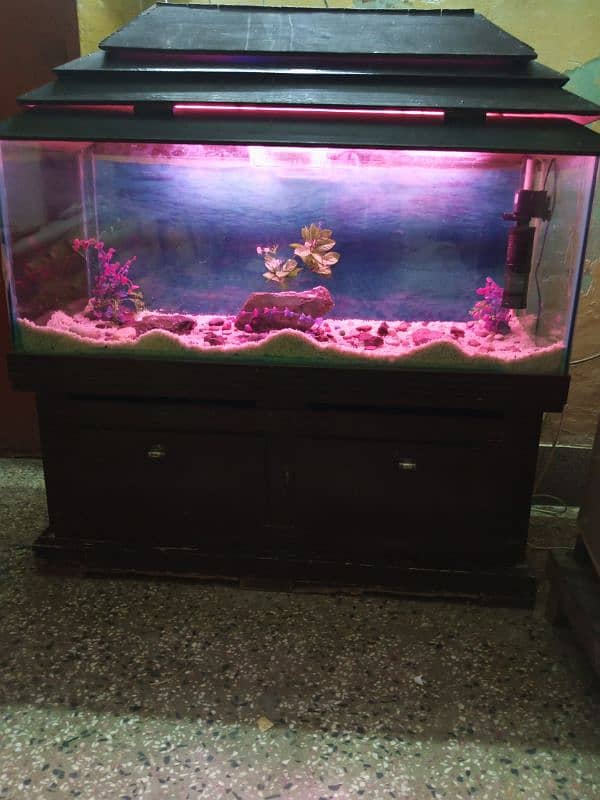 aquarium for sale 1