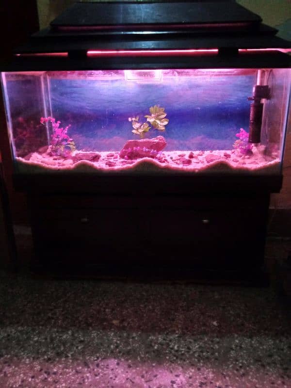 aquarium for sale 2