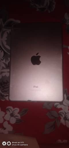 iPad mini 5