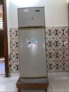 medium size fridge