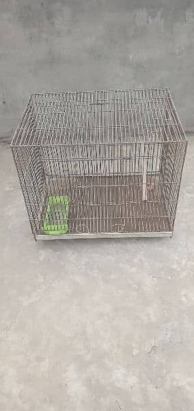 birds cage 0