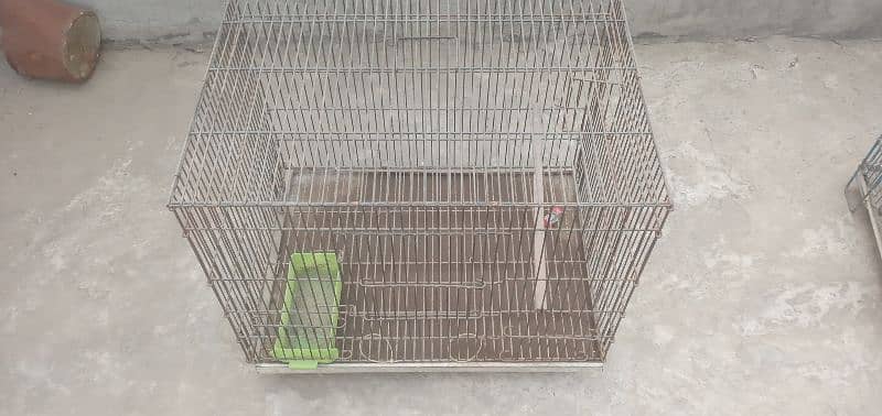 birds cage 1