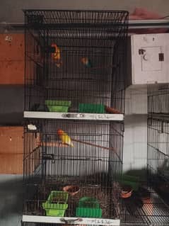 Cage for sale