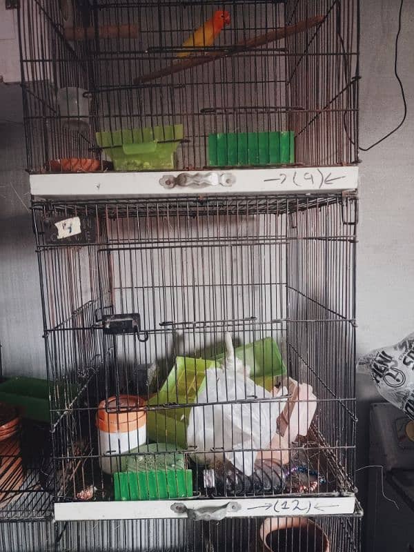 Cage for sale 1