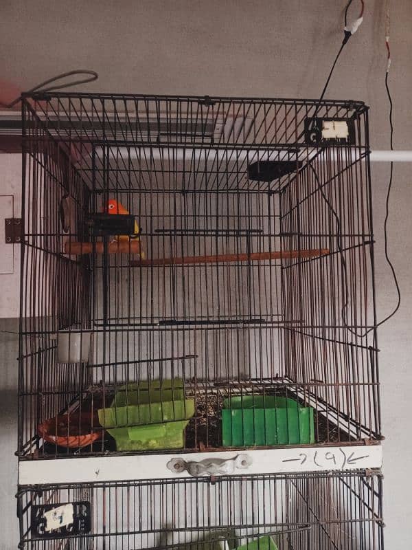 Cage for sale 2