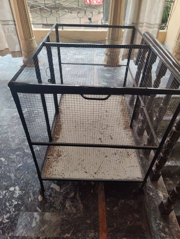 hen and birds cage for sale 1