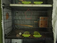 Cage for sale