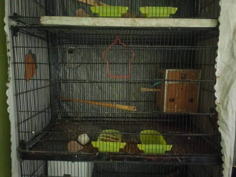 Cage for sale 0