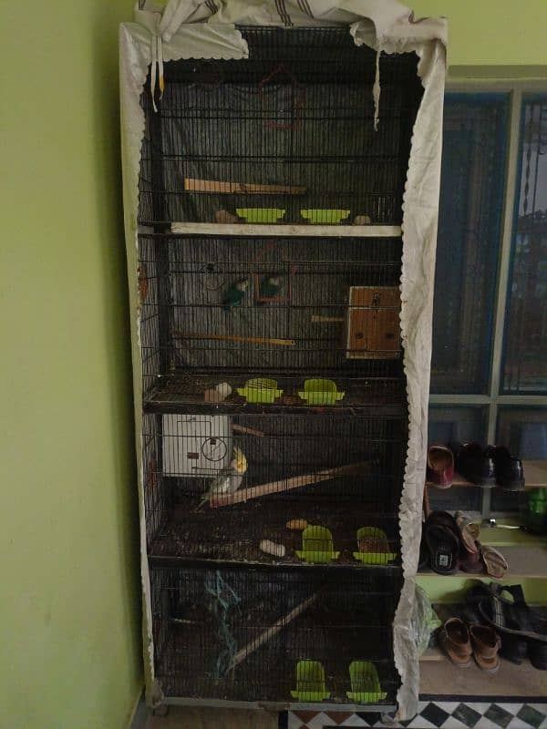 Cage for sale 2