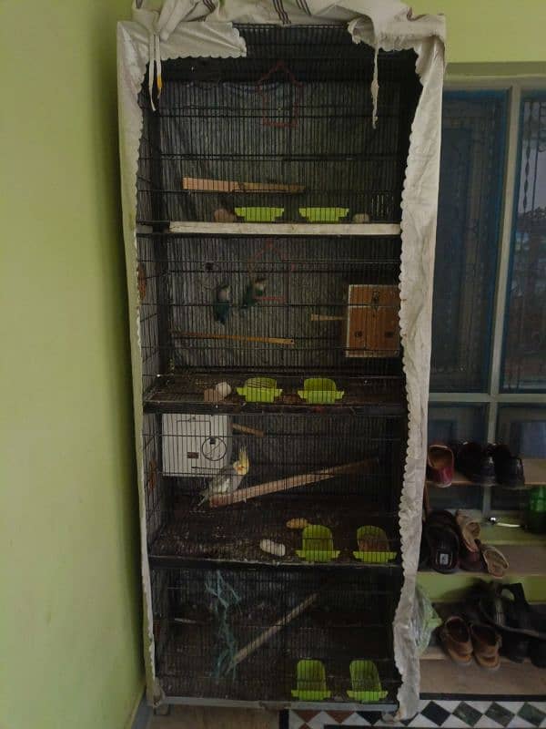 Cage for sale 3