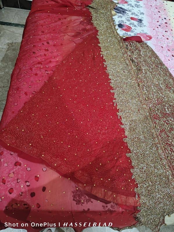 Bridal Lehenga / Dress 3