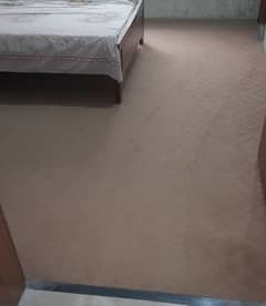 CARPET