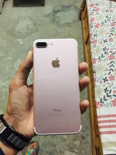 7 plus pta approved