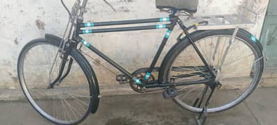 pico cycle 22 "  rabta only calmee03116513175