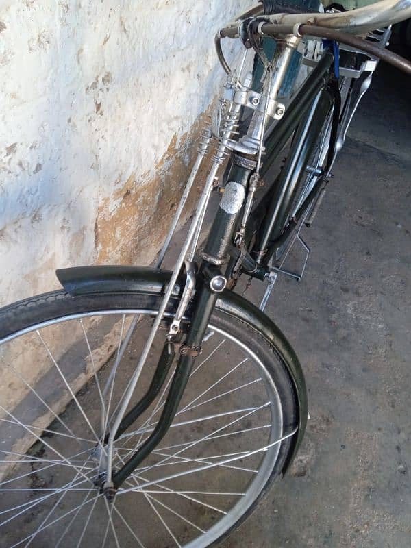 pico cycle 22 "  rabta only calmee03116513175 4