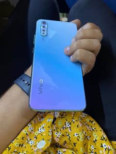 vivo