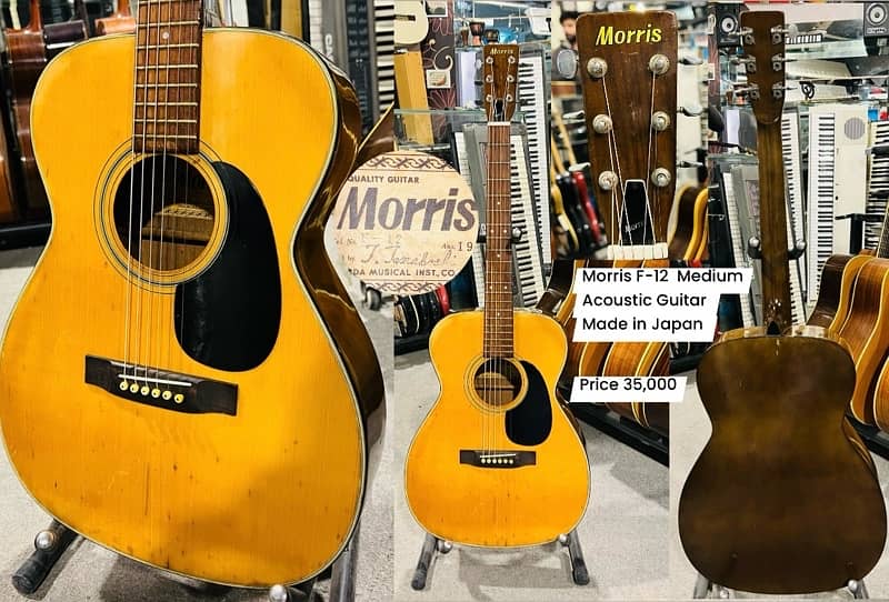 Morris F-12 Medium Acoustic Guitar, Nylon, Electric, Bass, Piano, 0