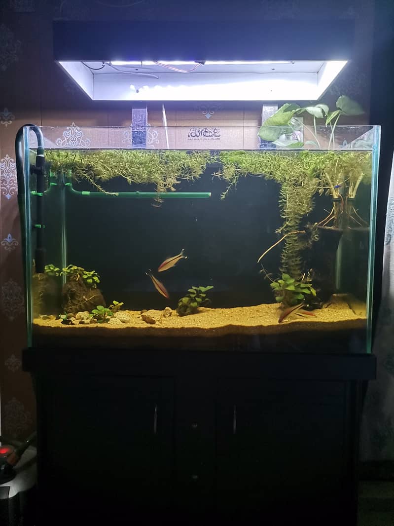 Aquarium full setup 0