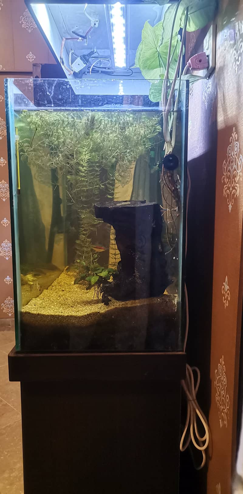 Aquarium full setup 1