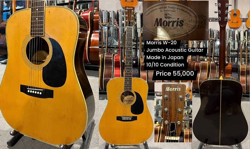 Lumber Jumbo Acoustic Guitar, Nylon, Electric, Bass 13