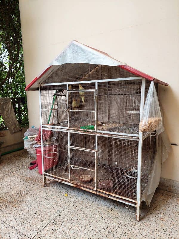 Cage for Sale 1