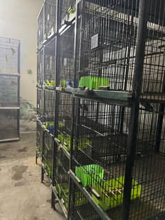 Lovebird cages