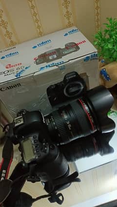 Canon 6D Mii with 24-105