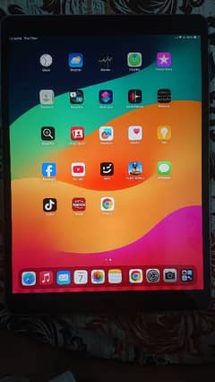 IPAD Pro 10.5/64gb 10/10 pubg beast