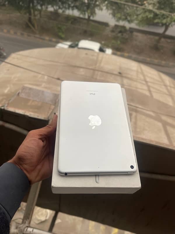 Ipad Mini 5 256 GB With Original Box and Charger 2