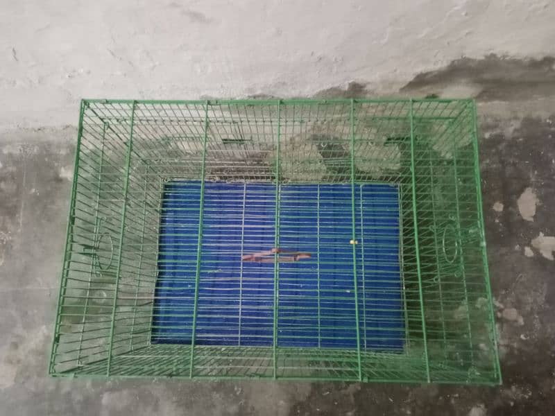 parrot cage 1