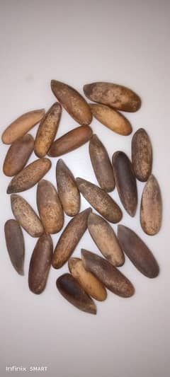 chalghosa (pine nut) RS. 7900 per Kg