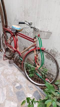 surtaj bicycle