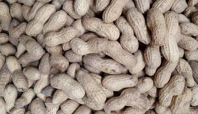 Chakwal Fresh Roasted Mong Phali (Peanut) 4