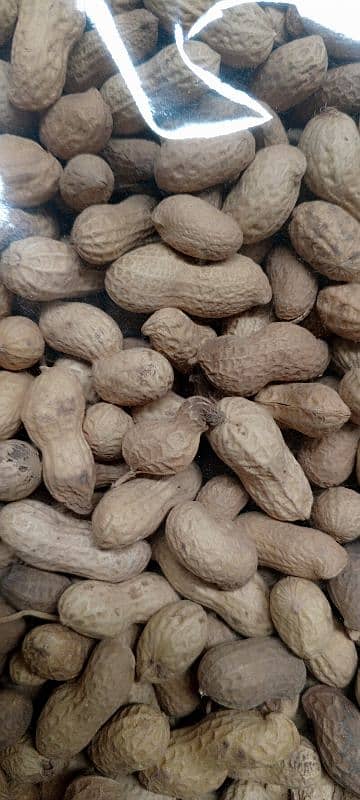 Chakwal Fresh Roasted Mong Phali (Peanut) 6