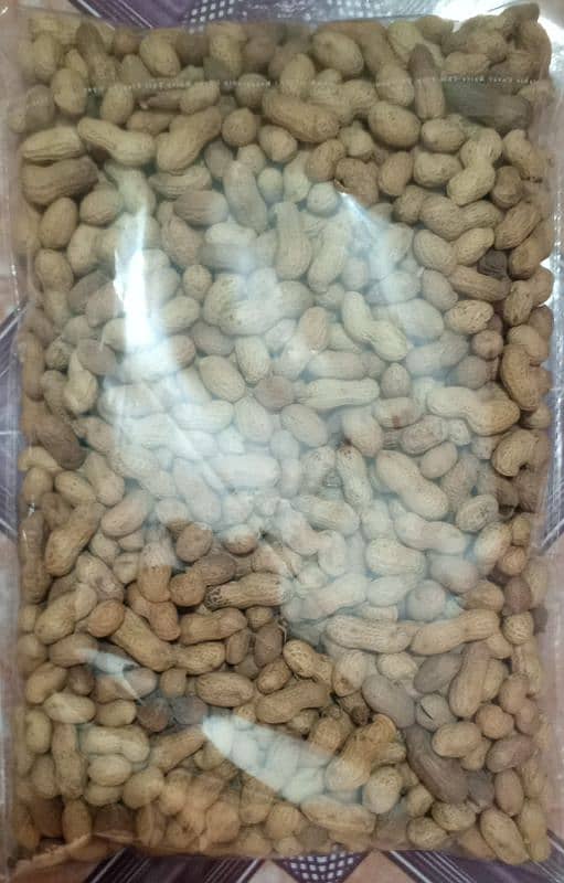 Chakwal Fresh Roasted Mong Phali (Peanut) 8