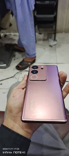 vivo