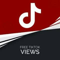 TikTok Video Views