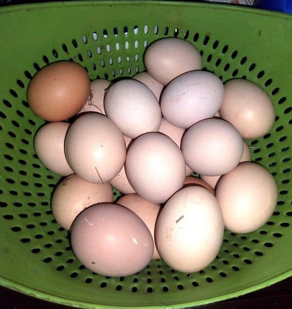 Pure Desi Eggs 0