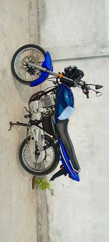 Ravi piaggio 2k13 2