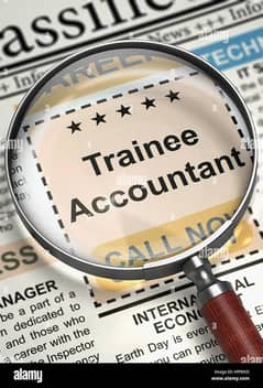 Trainee Accountant