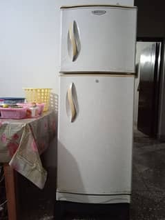 Waves fridge for sale