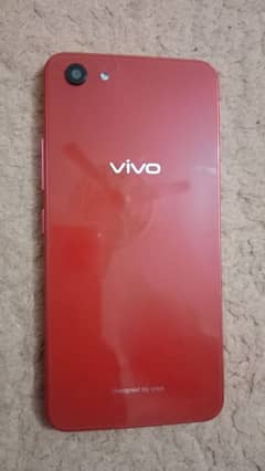 vivo