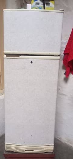 Refrigerator Pell. 0313-6421927