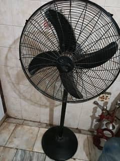 Pedestal Fan