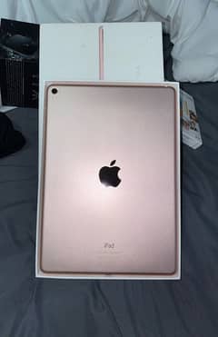 Ipad Mini5