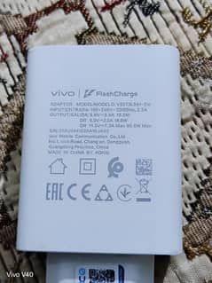 Vivo V40 Original Charger