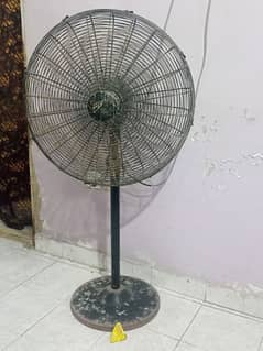 Pedestal Fan